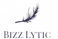 BIZZLYTIC