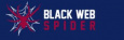 Black Web Spider