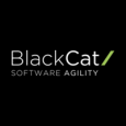 BlackCat Solutions Ltd
