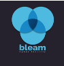 Bleam Cyber Security