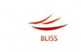 Bliss & Associates Professional Services