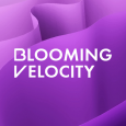 Blooming Velocity