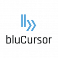 bluCursor Infotech Pvt Ltd