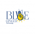 Blue Ginger Technology