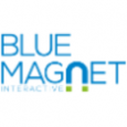 Blue Magnet Interactive
