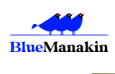 Blue Manakin