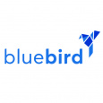 Bluebird Development
