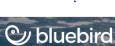 Bluebird