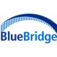 BlueBridge Networks