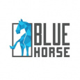 Bluehorse Software Solutions Pvt Ltd