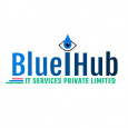 Blueihub IT Services Pvt Ltd