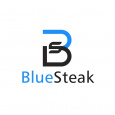 BlueSteak - eCommerce Consulting Agency