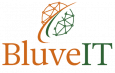 BluveIT