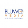 BluWebMedia IT Services Pvt. Ltd.