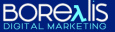 Borealis Digital Marketing