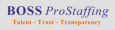 Boss Pro Staffing 