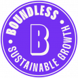 Boundless Digital