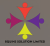 Bquins Solution Limited