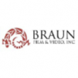 Braun Film & Video