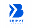 Brihat Infotech Private Limited