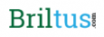 Briltus Services Private Limited