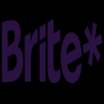 Brite Payments