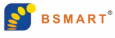 BS Mart 