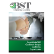 BST Global Consulting