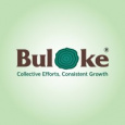 Buloke Realty Holdings Pvt Ltd