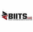Business Intelligence & IT Solutions LLC (BIITS)