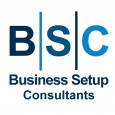 Business Setup Consultants