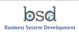 Business System Development