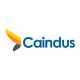 Caindus Systems Inc,