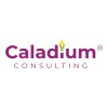 Caladium Consulting