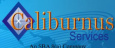 Caliburnus Services
