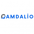 Camdalio Digital Marketing Agency