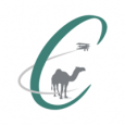 Camel Financial