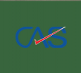 CAS Global Back Office Services