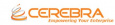 Cerebra Consulting
