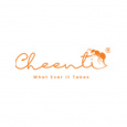 Cheenti Digital LLc