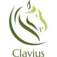 Clavius solutions
