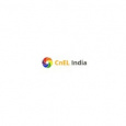 CnEL India