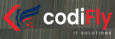 CodiFly IT Solutions
