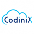Codinix Technologies Inc.