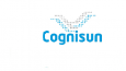 Cognisun Infotech Pvt Ltd
