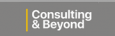 Consulting and Beyond