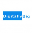Digitally Big