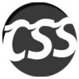 CSS PLAYER IT SOLUTIONS PVT LTD