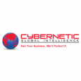 Cybernetic Global Intelligence