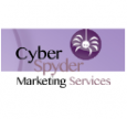 CyberSpyder